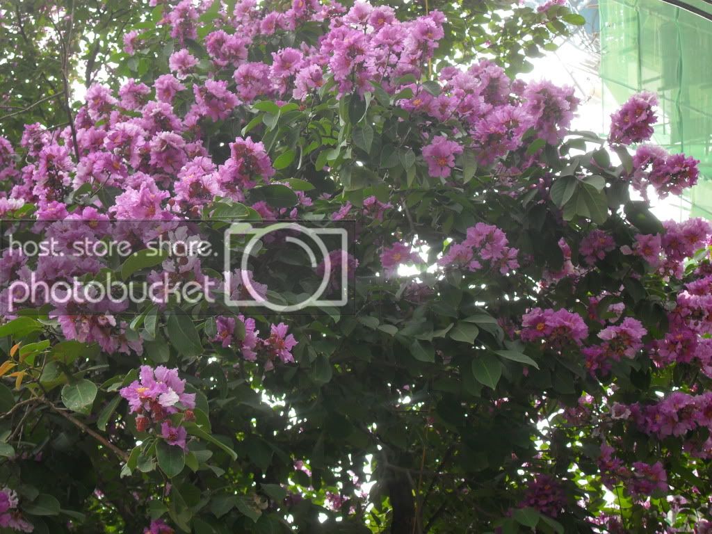 SDC15862.jpg