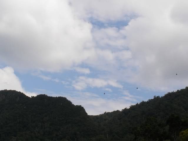 P7130021.jpg