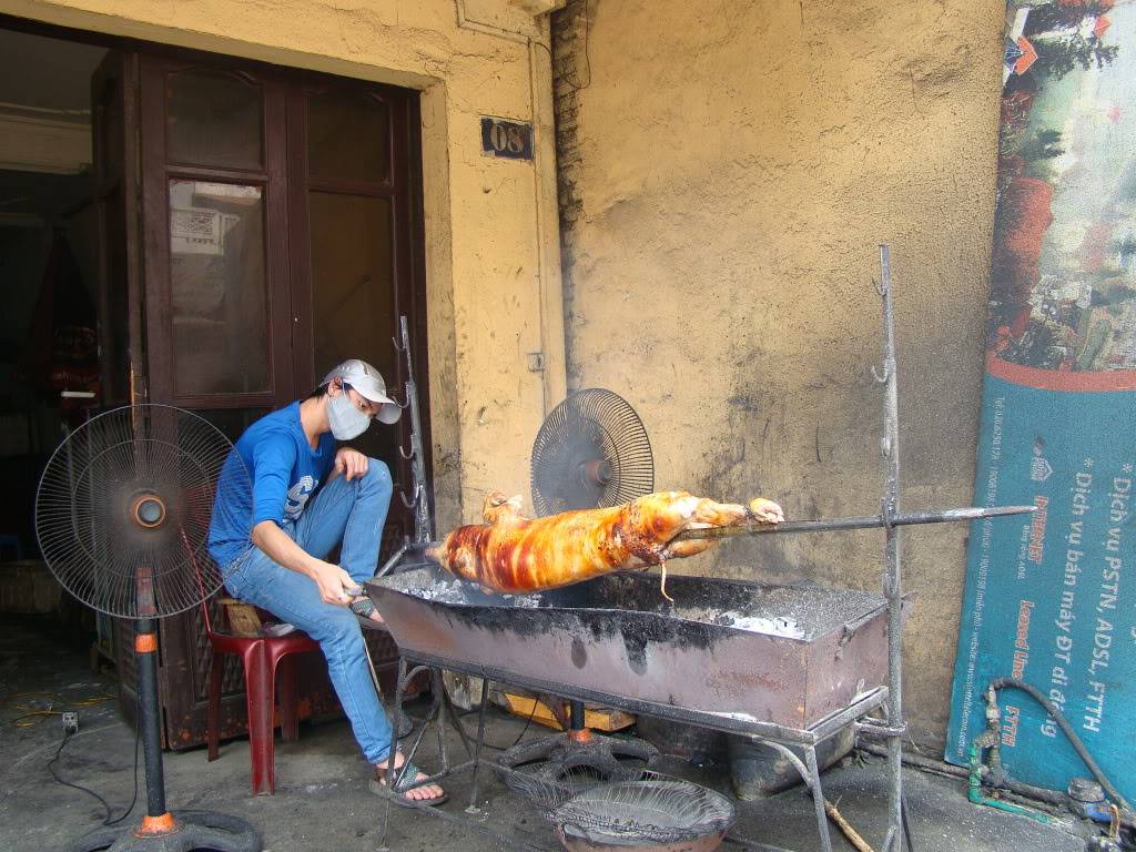 DSC09382.jpg