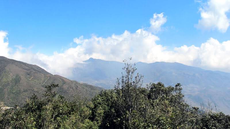 HongNgai2011164.jpg