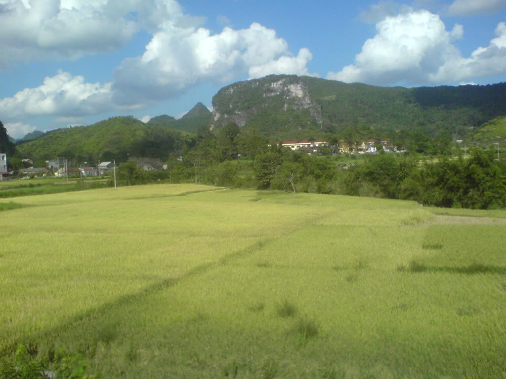 DSC00001.jpg