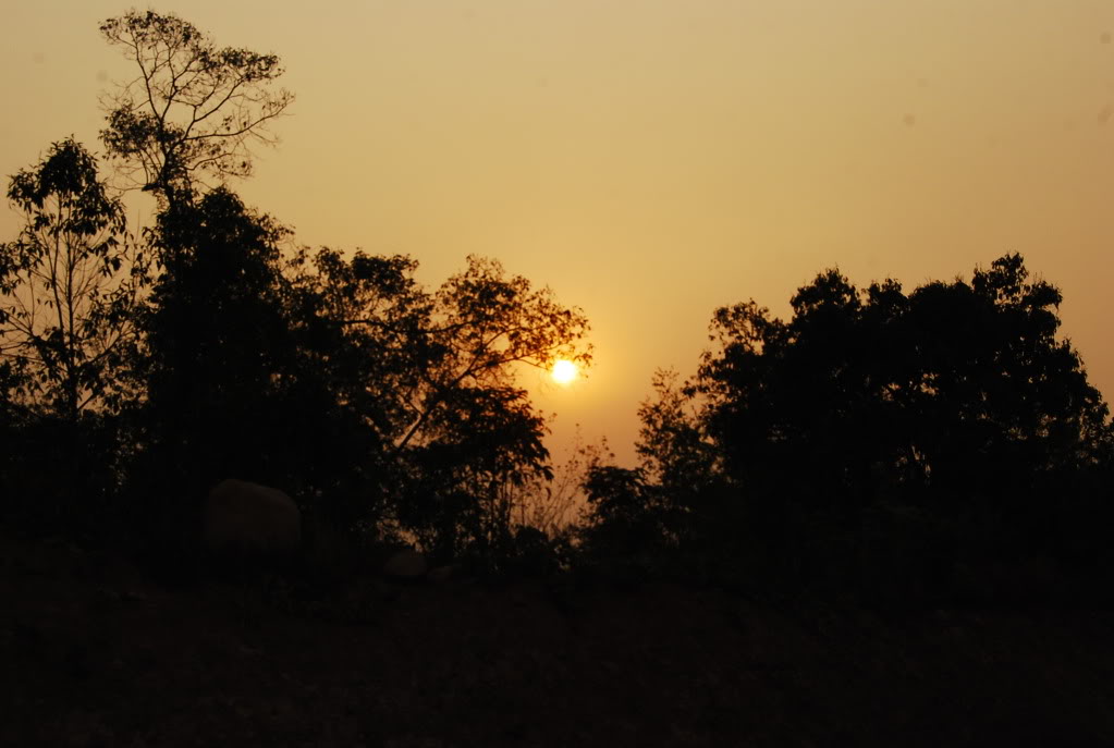 DSC_8739.jpg