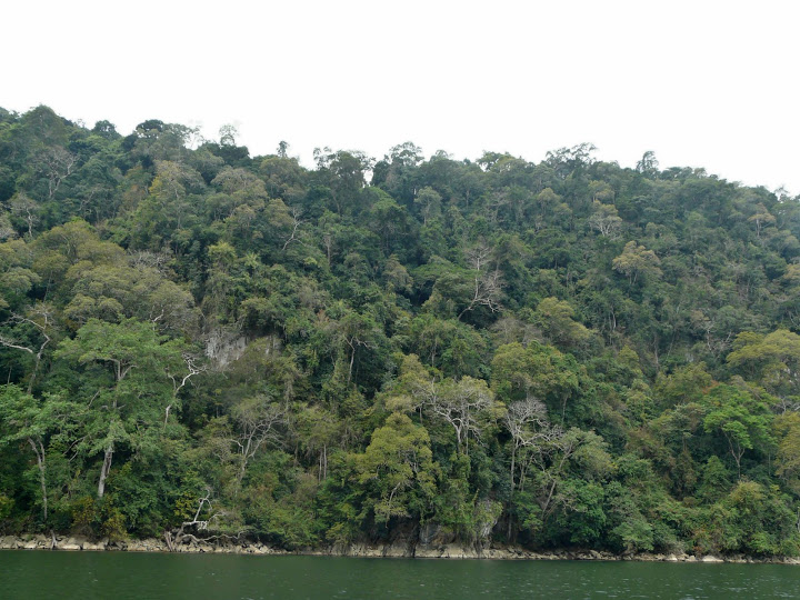 P1050590.JPG