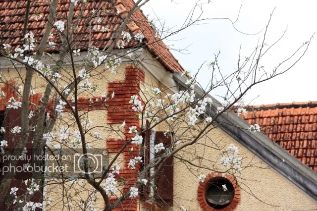 IMG_0675_resize.jpg