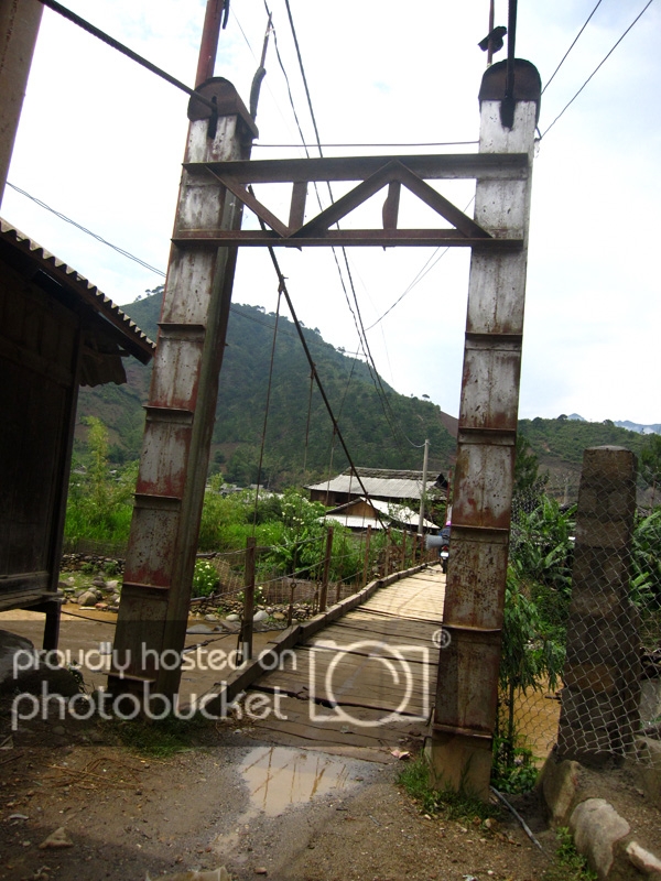 IMG_0905_zps5987cd30.jpg