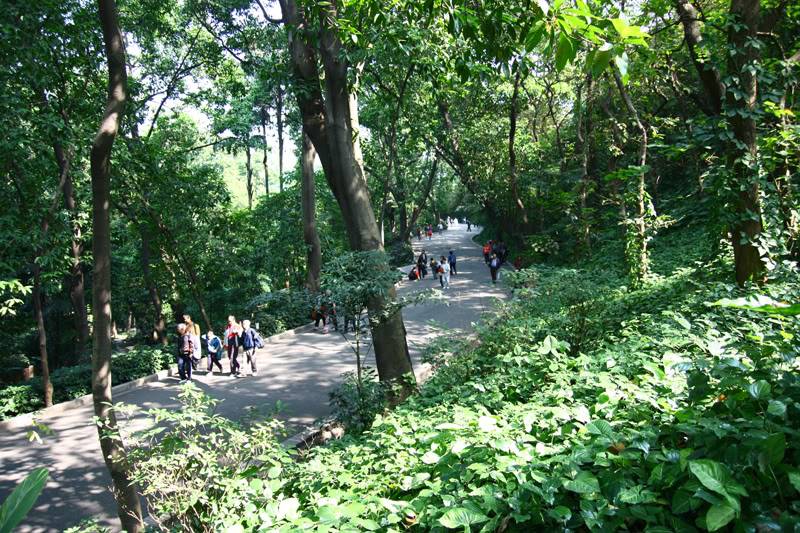 vtpark4.jpg