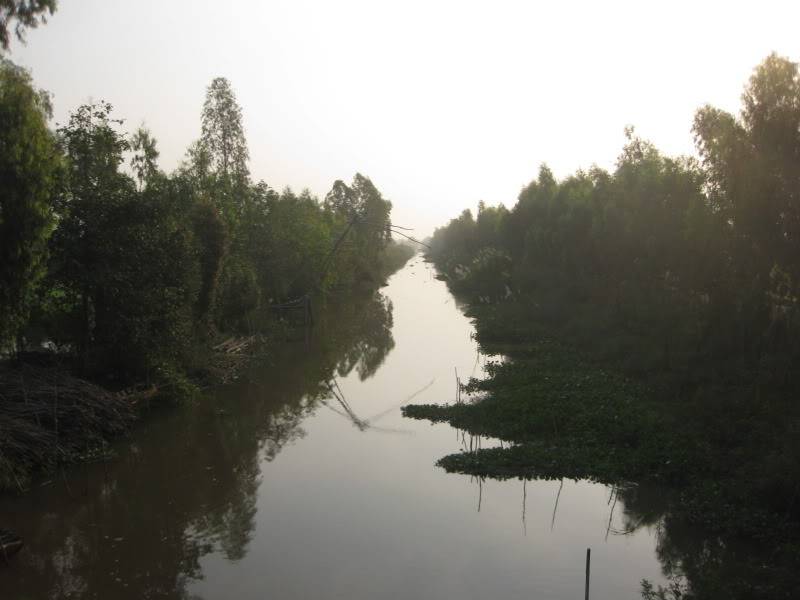 DongThapTET2011267.jpg