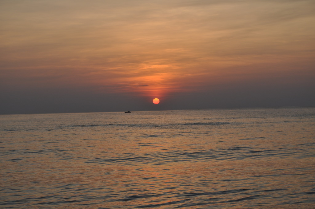 DSC_0409.jpg
