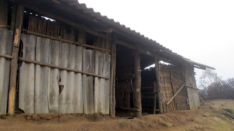 HongNgai2011350.jpg