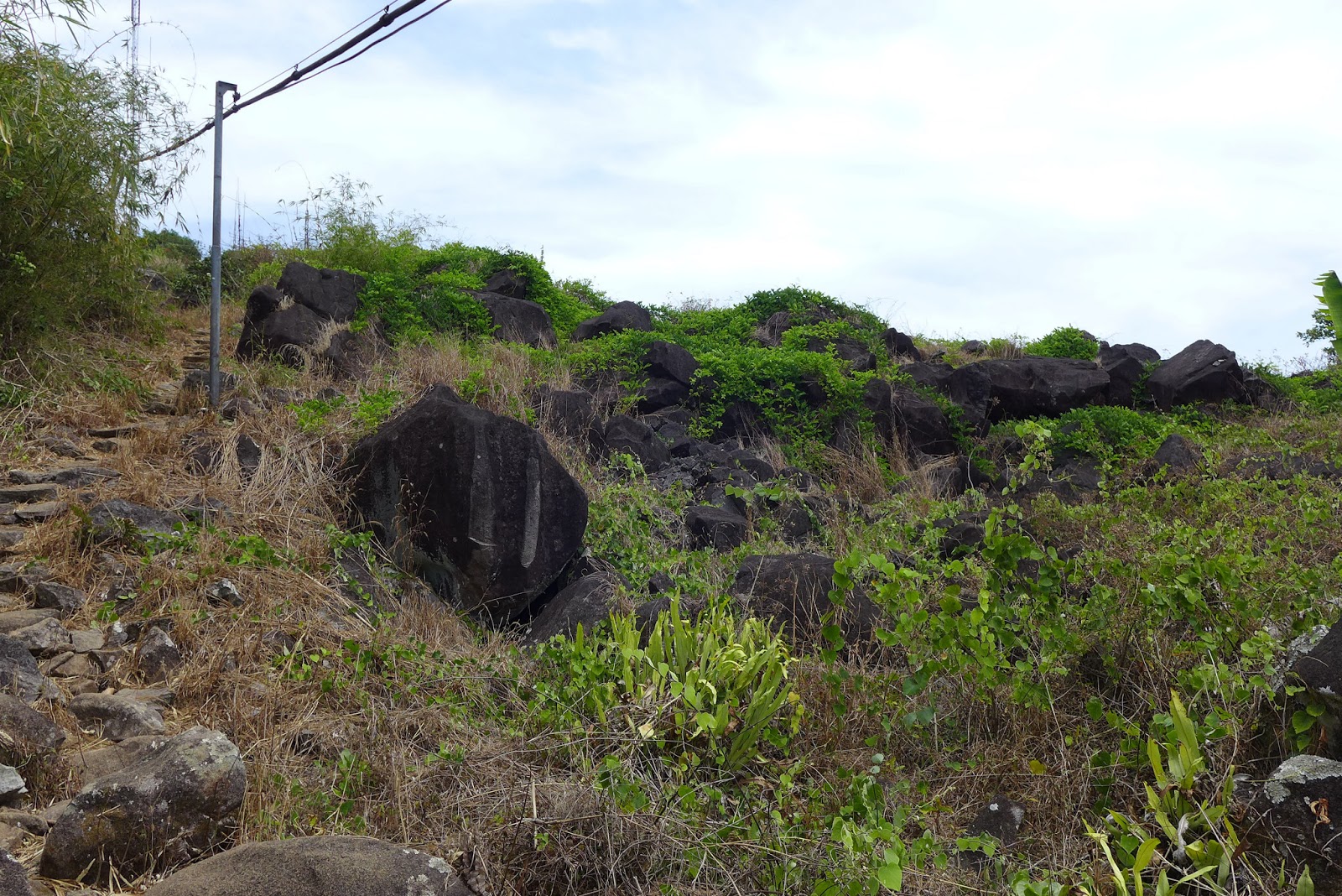 P1000688.JPG