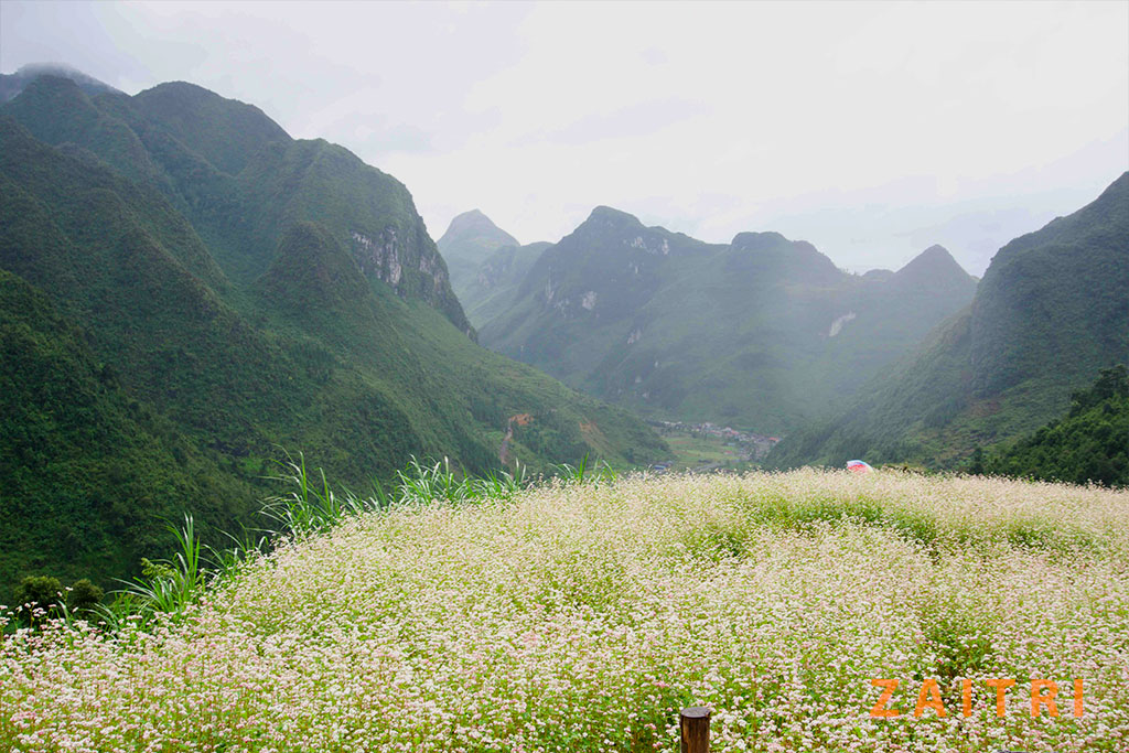manh-ruong-tam-giac-mach-ven-duong.jpg