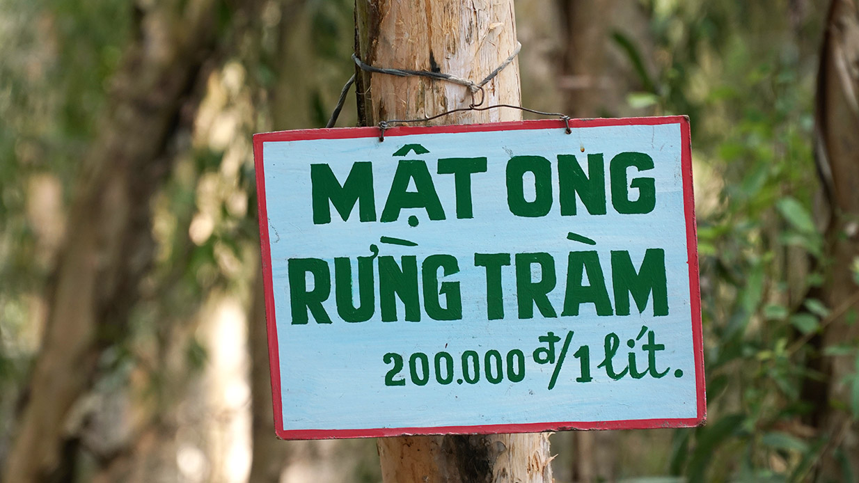 ban-ban-mat-ong-rung-tram.jpg