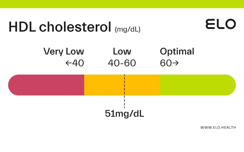 hdl-cholesterol