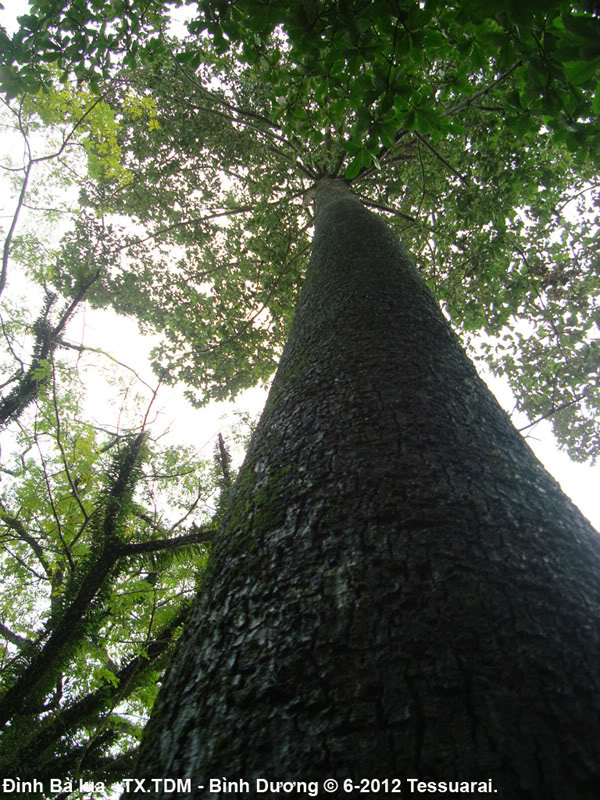 8a.jpg