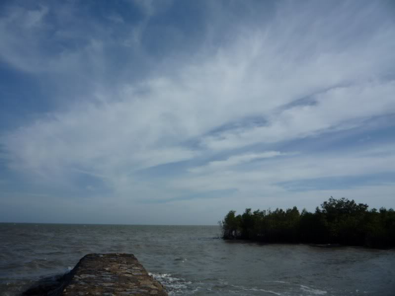 P1030174800x600.jpg
