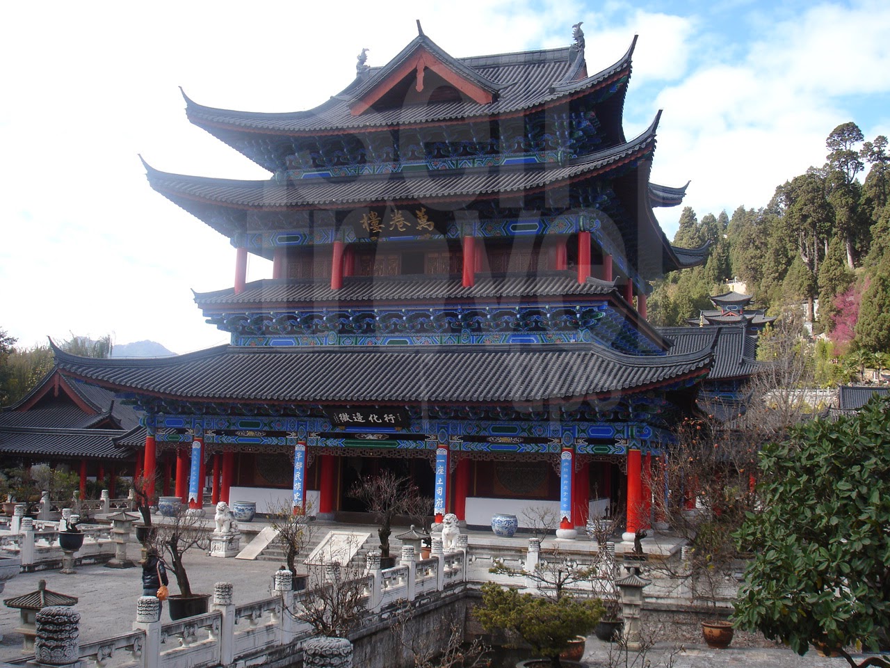 DSC01686.jpg