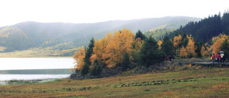 _MG_9065.jpg