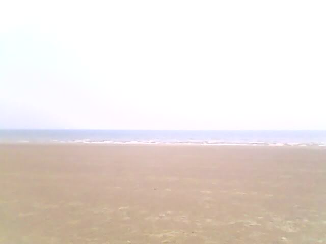 IMG0082A.jpg