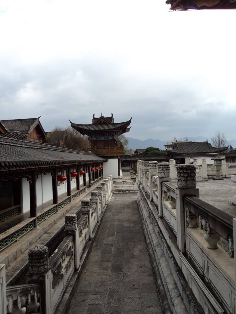 DSC01713.jpg
