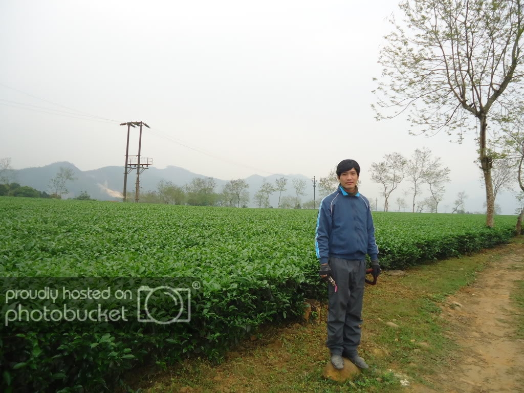 File0073.jpg