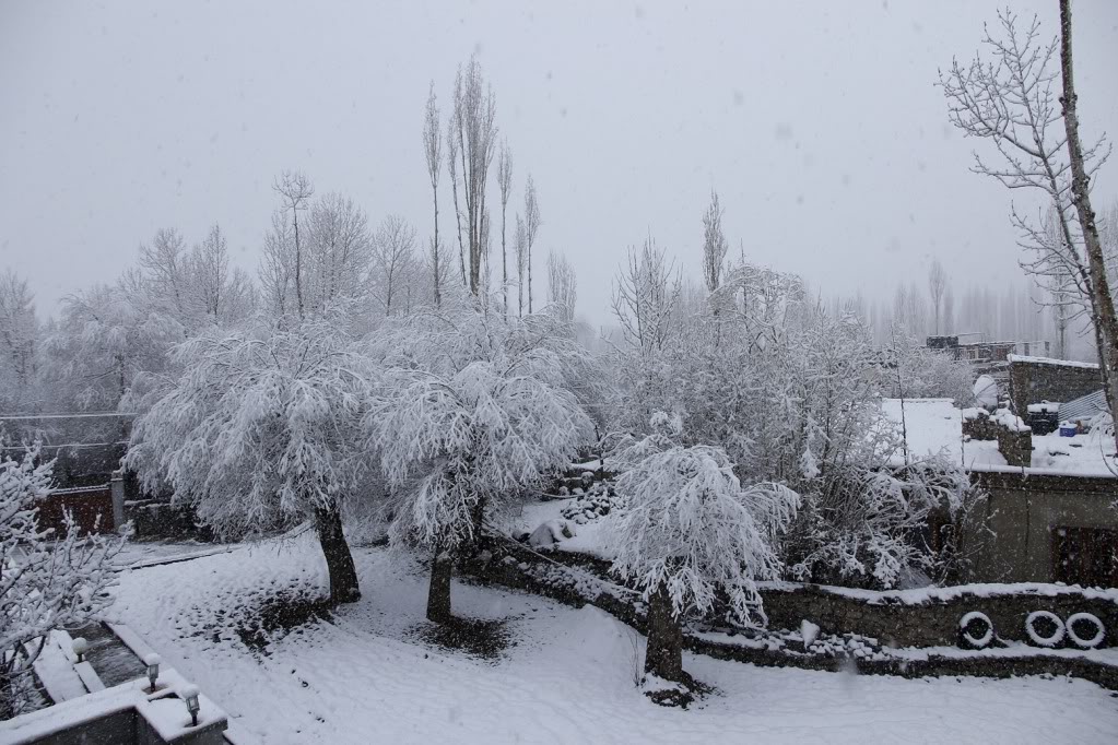 _MG_1093.jpg