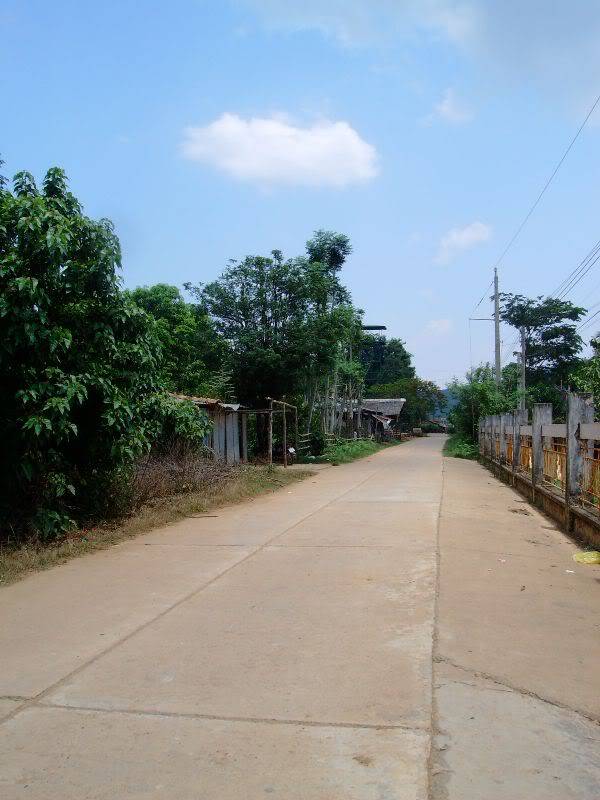 SANY0176.jpg