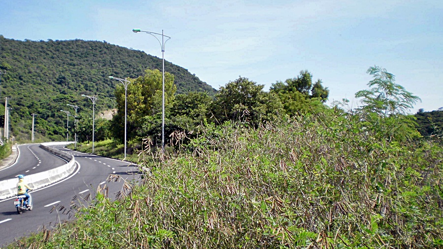 214_zpsc7874801.jpg