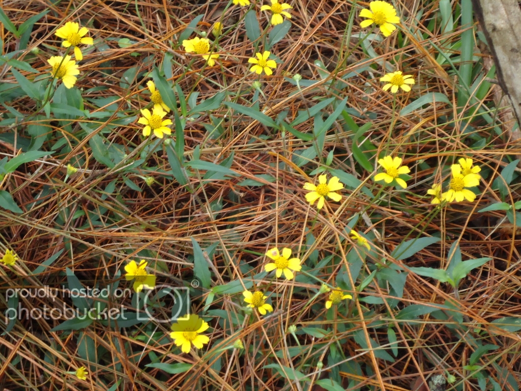DSC09555.jpg