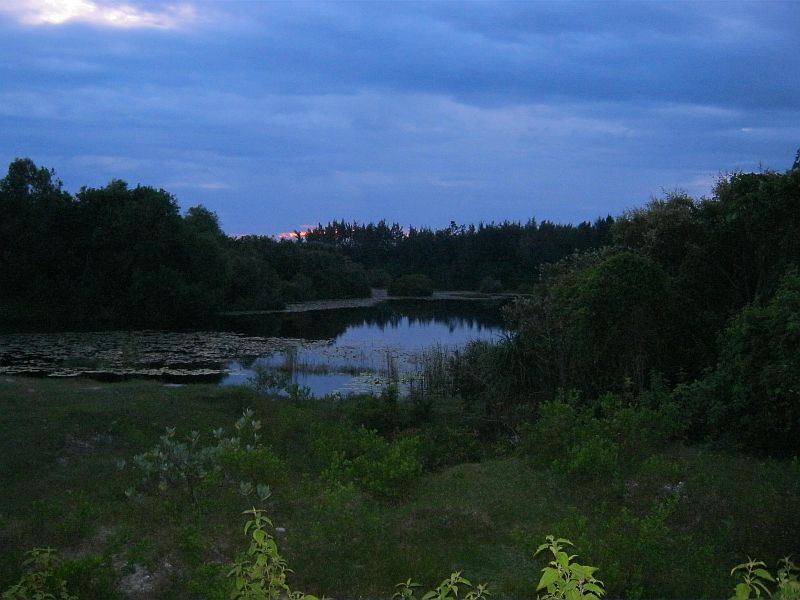 IMG_7896.jpg