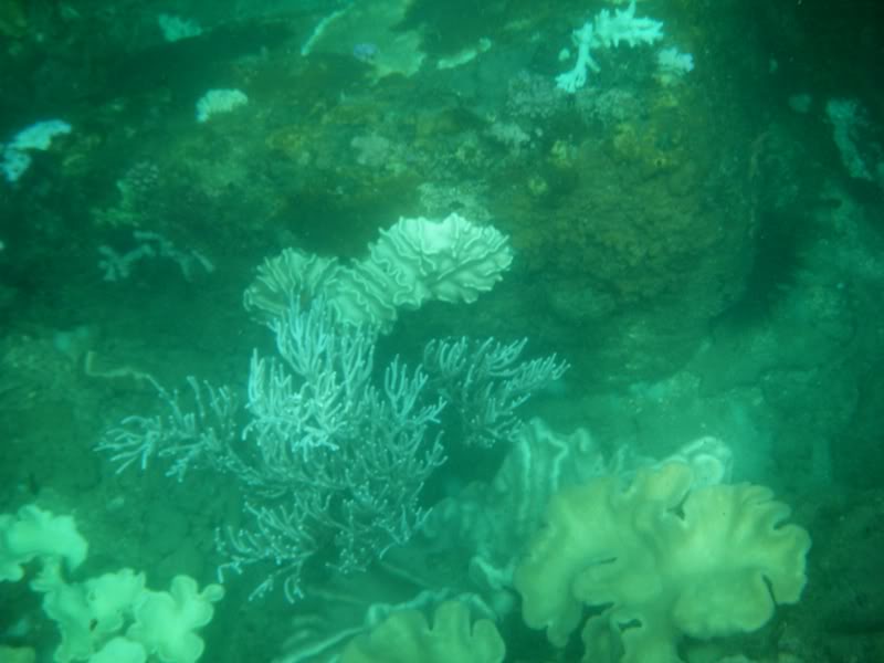 DSCF0131.jpg
