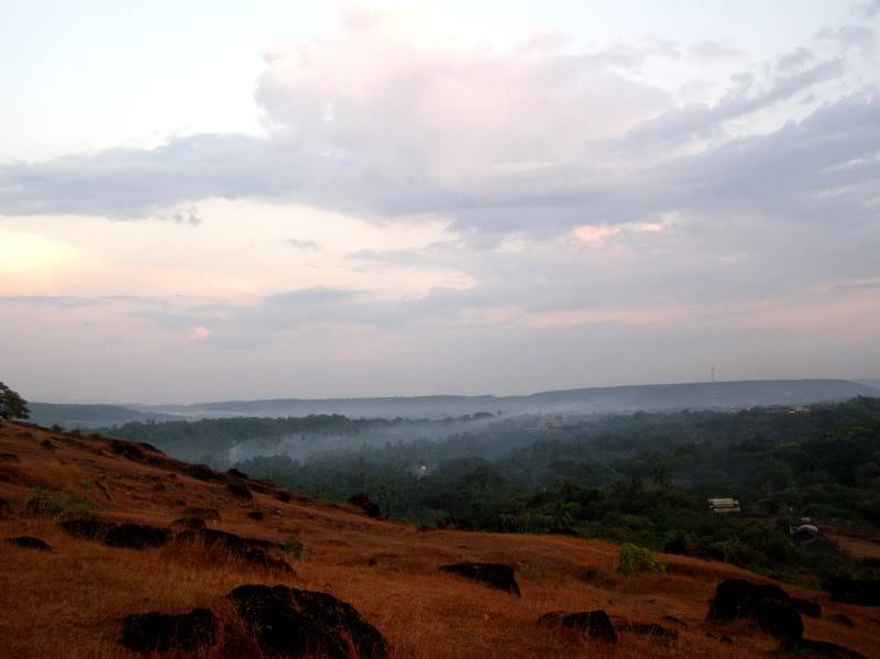 PC020136.jpg