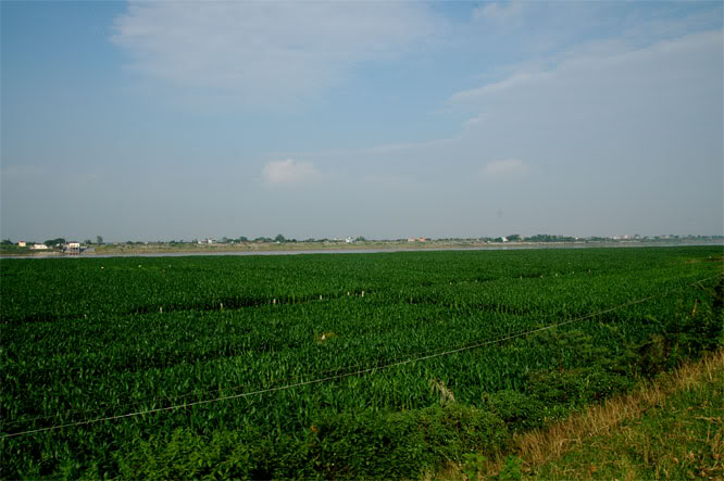 DSC_2153.jpg