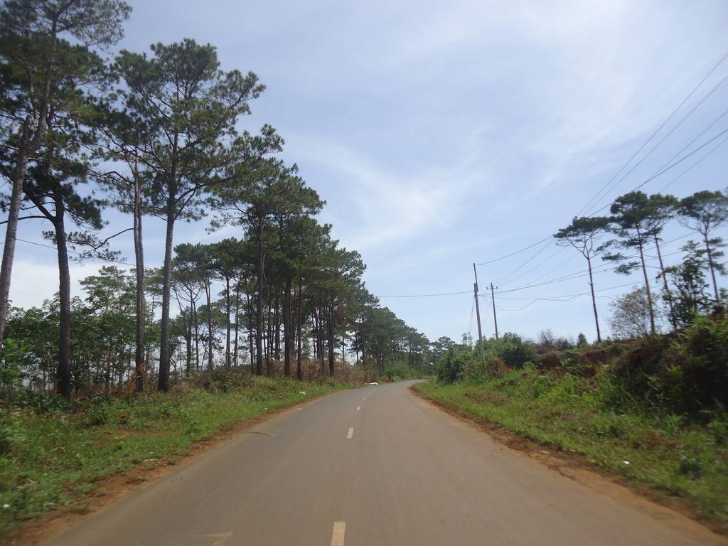 DSC01291_zpsmpm8f8vy.jpg