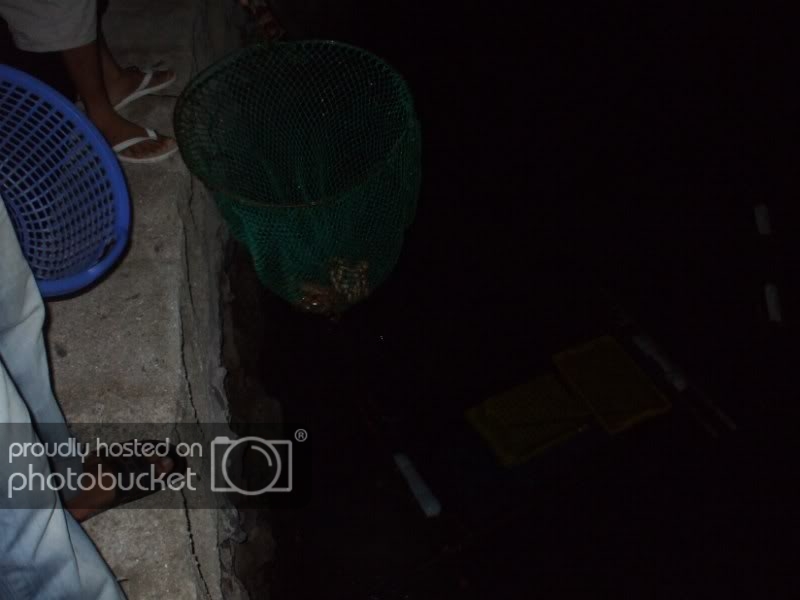 DSCF7502-1.jpg