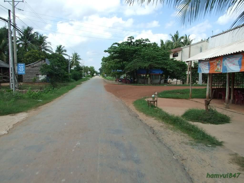 hoaminh-3.jpg