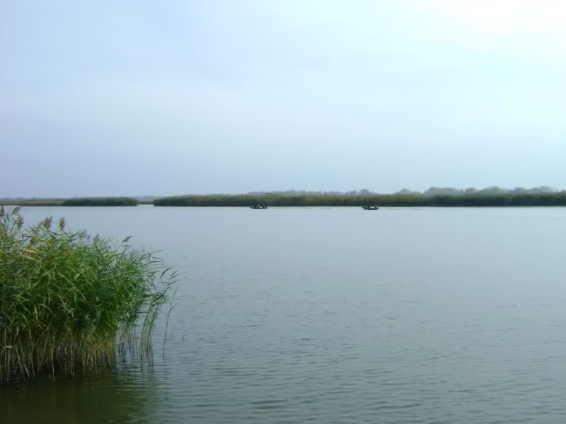 Lake11.jpg