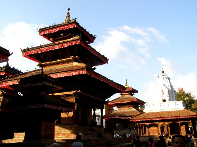 PA250462.jpg