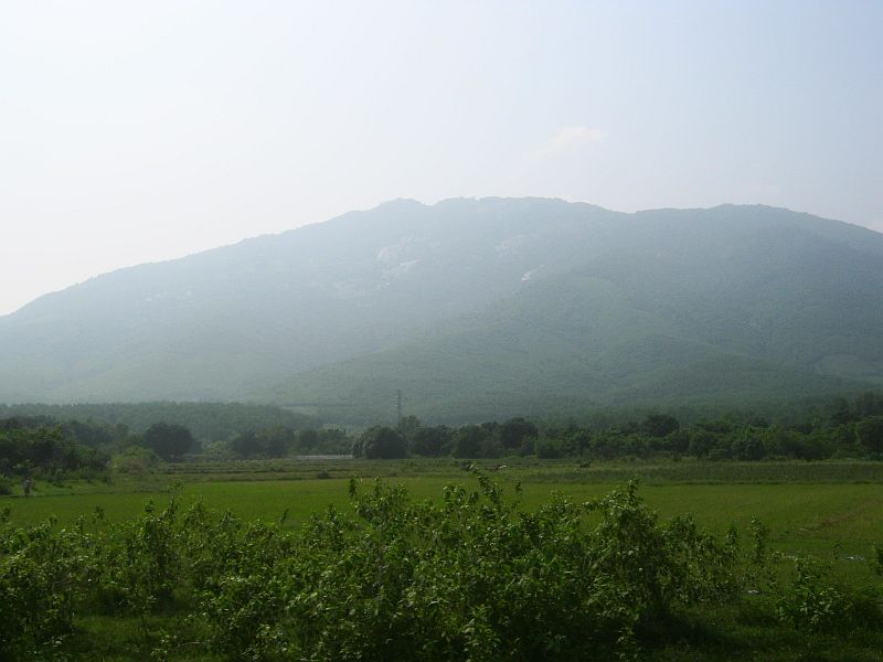 IMG_7698.jpg