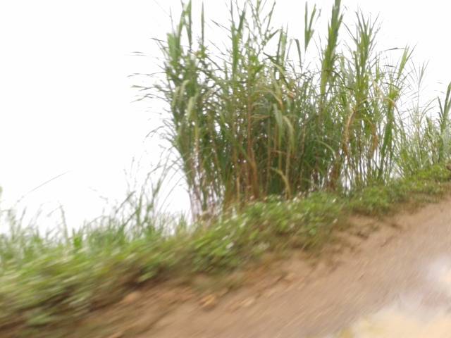 2012-10-28082946.jpg