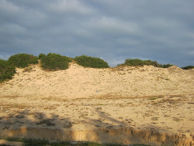 IMG_8181.jpg