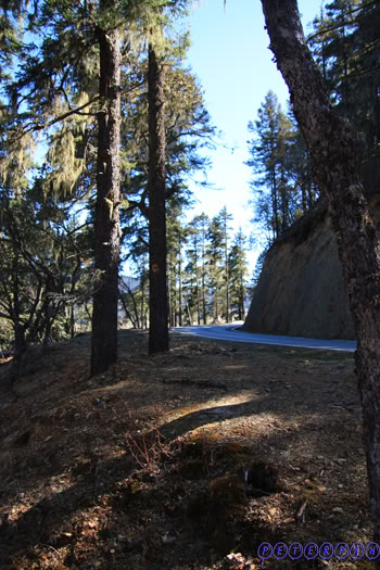 shangri-la229.jpg