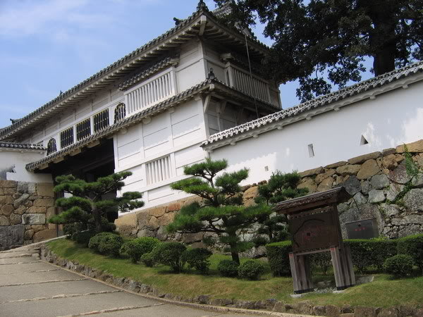 IMG_0500_resize.jpg