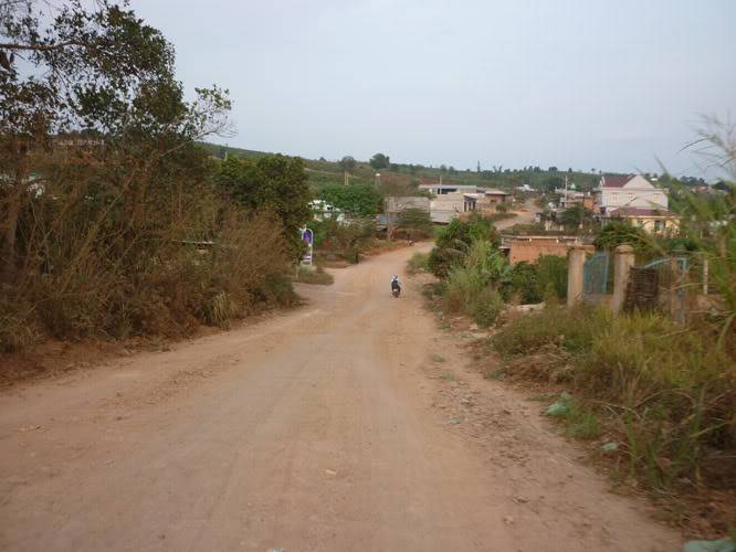 P1070667.jpg