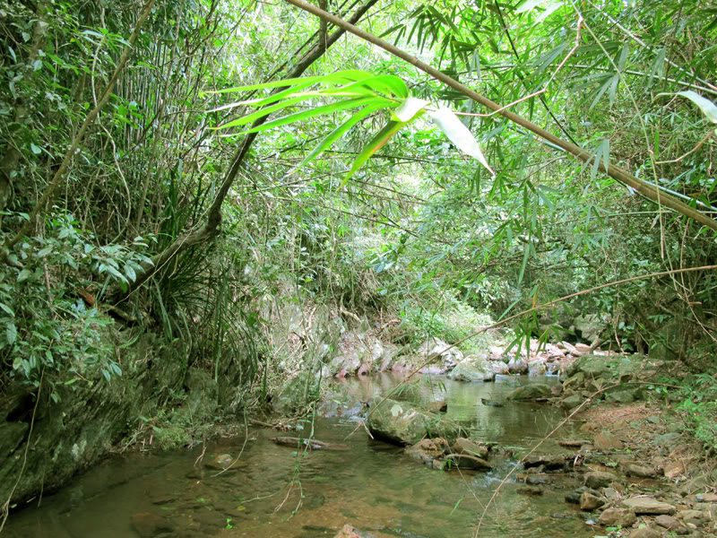 TayYenTu1010624.jpg