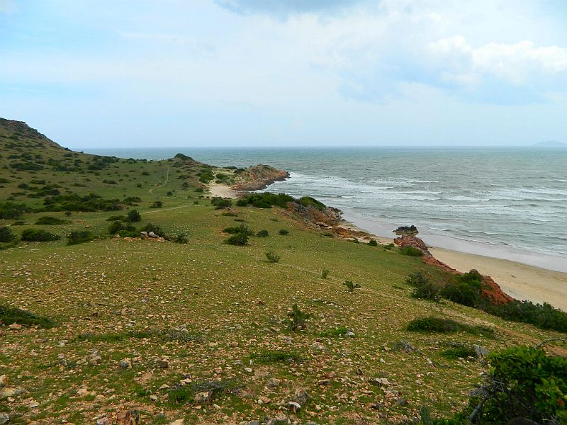 DSCN2216.jpg