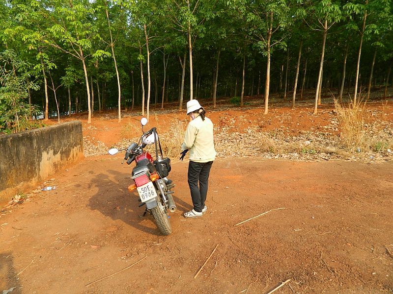 DSCN3635.jpg