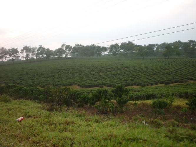 P1090143.jpg