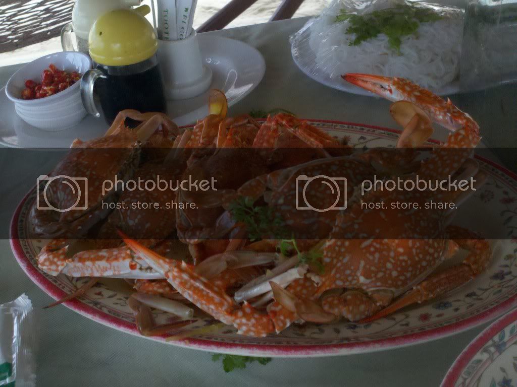 2011-04-12_10-07-17_684.jpg