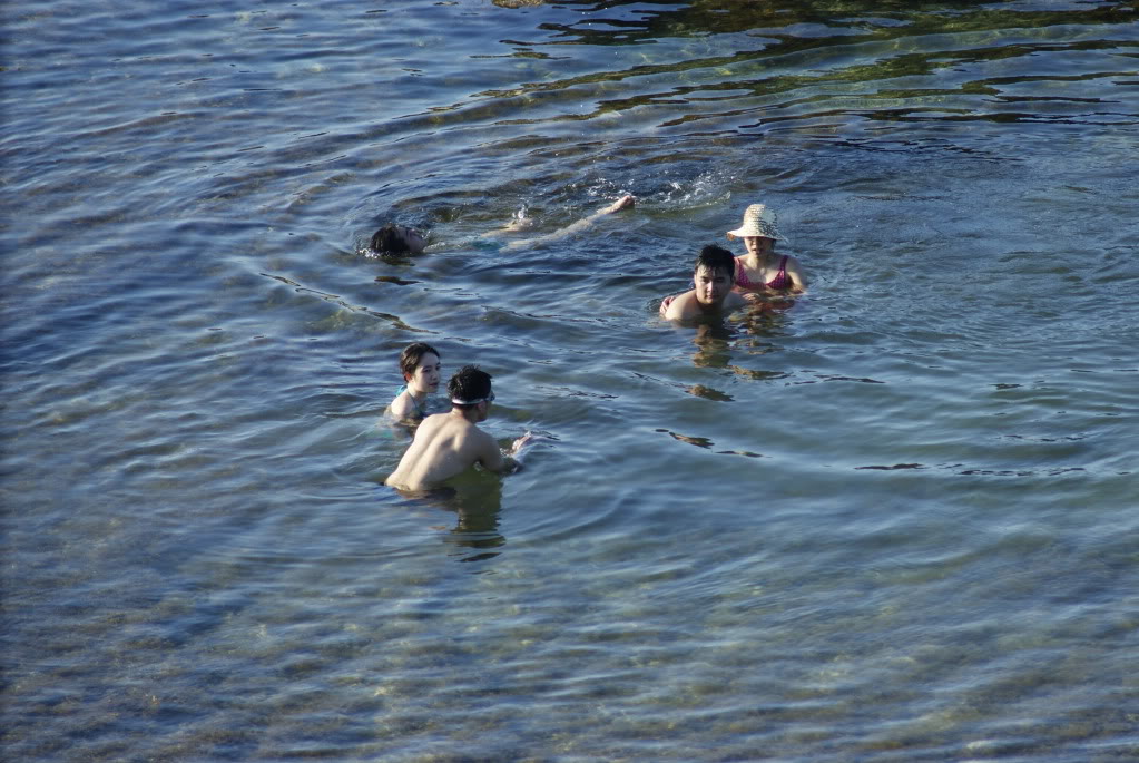 _DSC8375.jpg