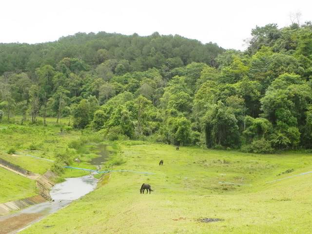 DSCN1444.jpg
